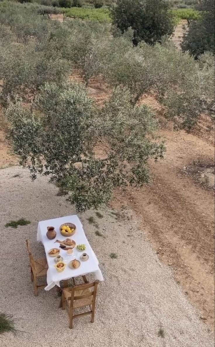Apothéke Alimentare
