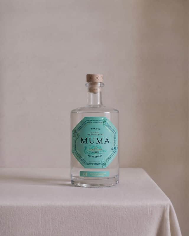 Gin 01 500 ml